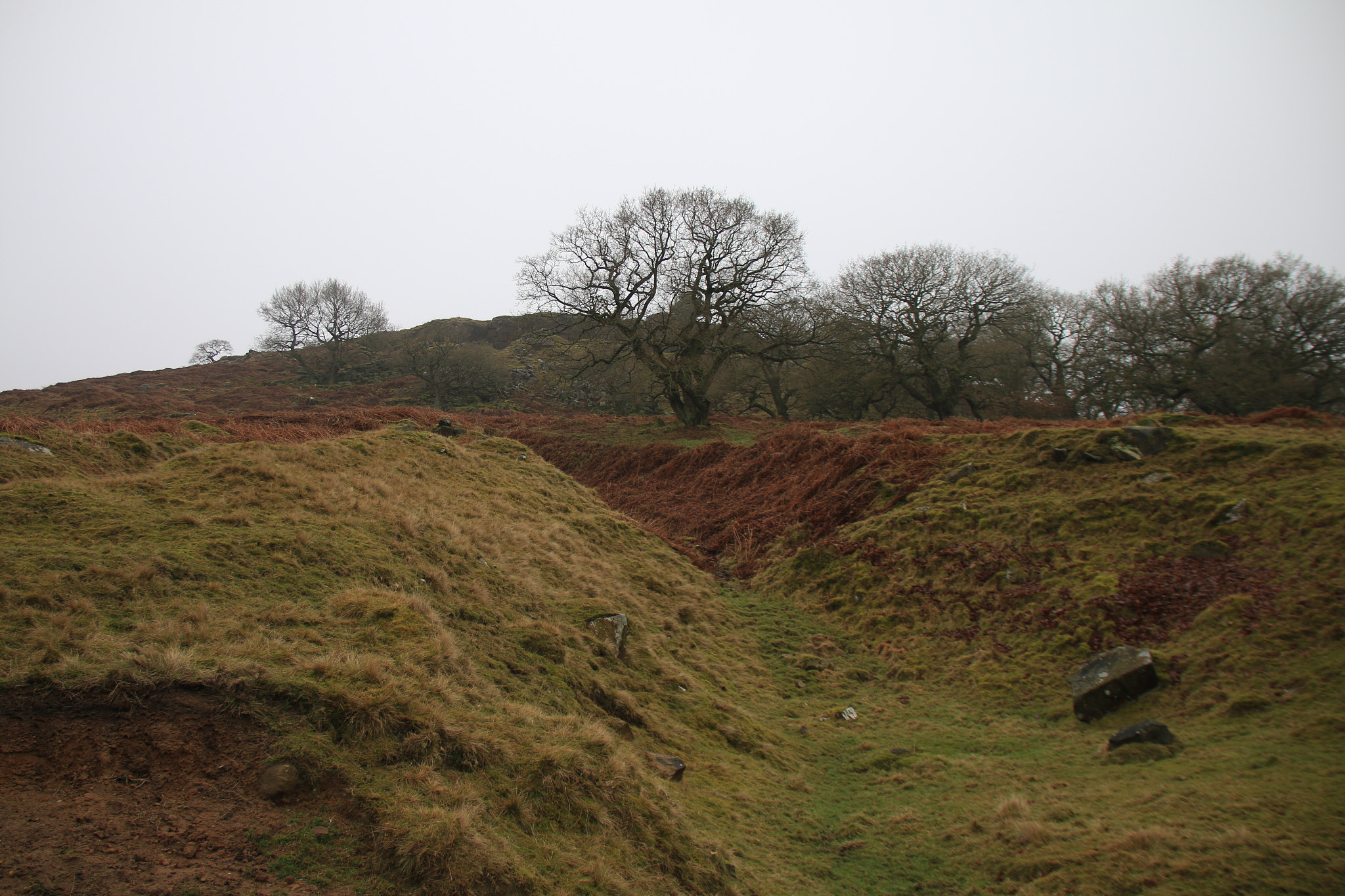 Sigma 18-125mm F3.8-5.6 DC OS HSM sample photo. Peak district photography