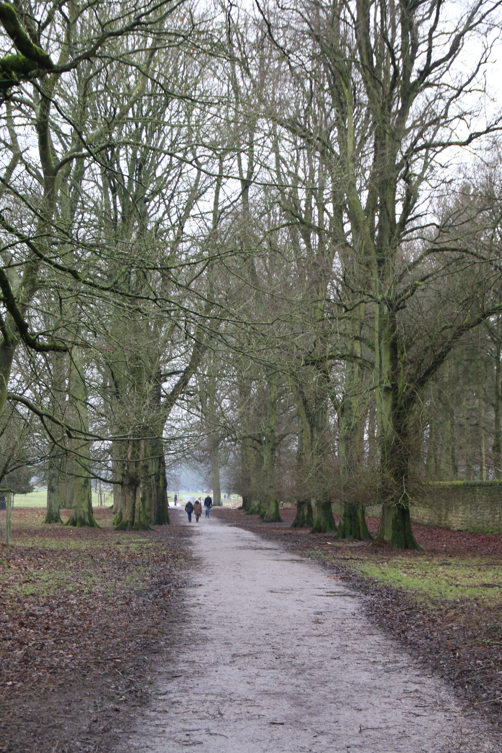 Canon EOS 70D + Sigma 18-125mm F3.8-5.6 DC OS HSM sample photo. Peak district photography