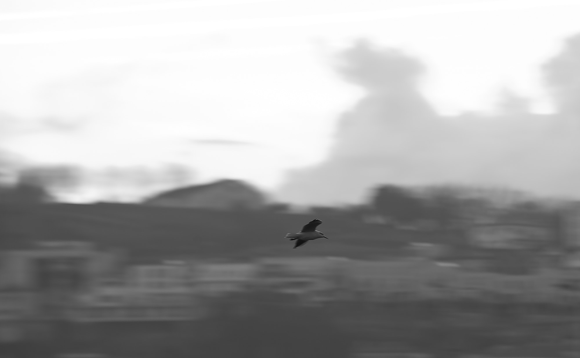 Nikon D700 sample photo. The awakening photography