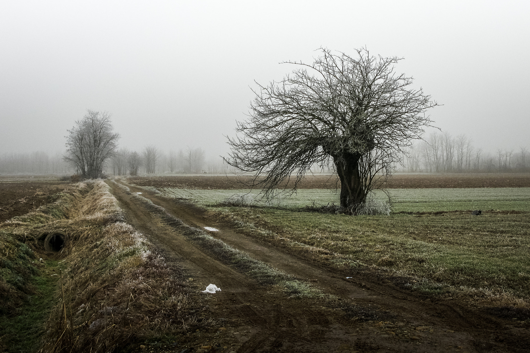 Canon POWERSHOT G7 sample photo. Freddo sulla statale 26 photography