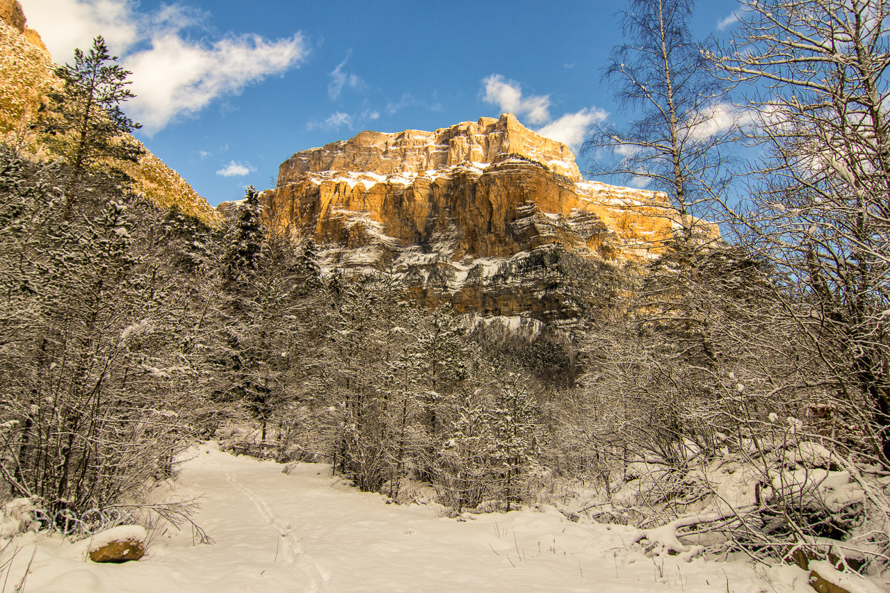 Tokina AT-X Pro 12-24mm F4 (IF) DX sample photo. Paradise photography
