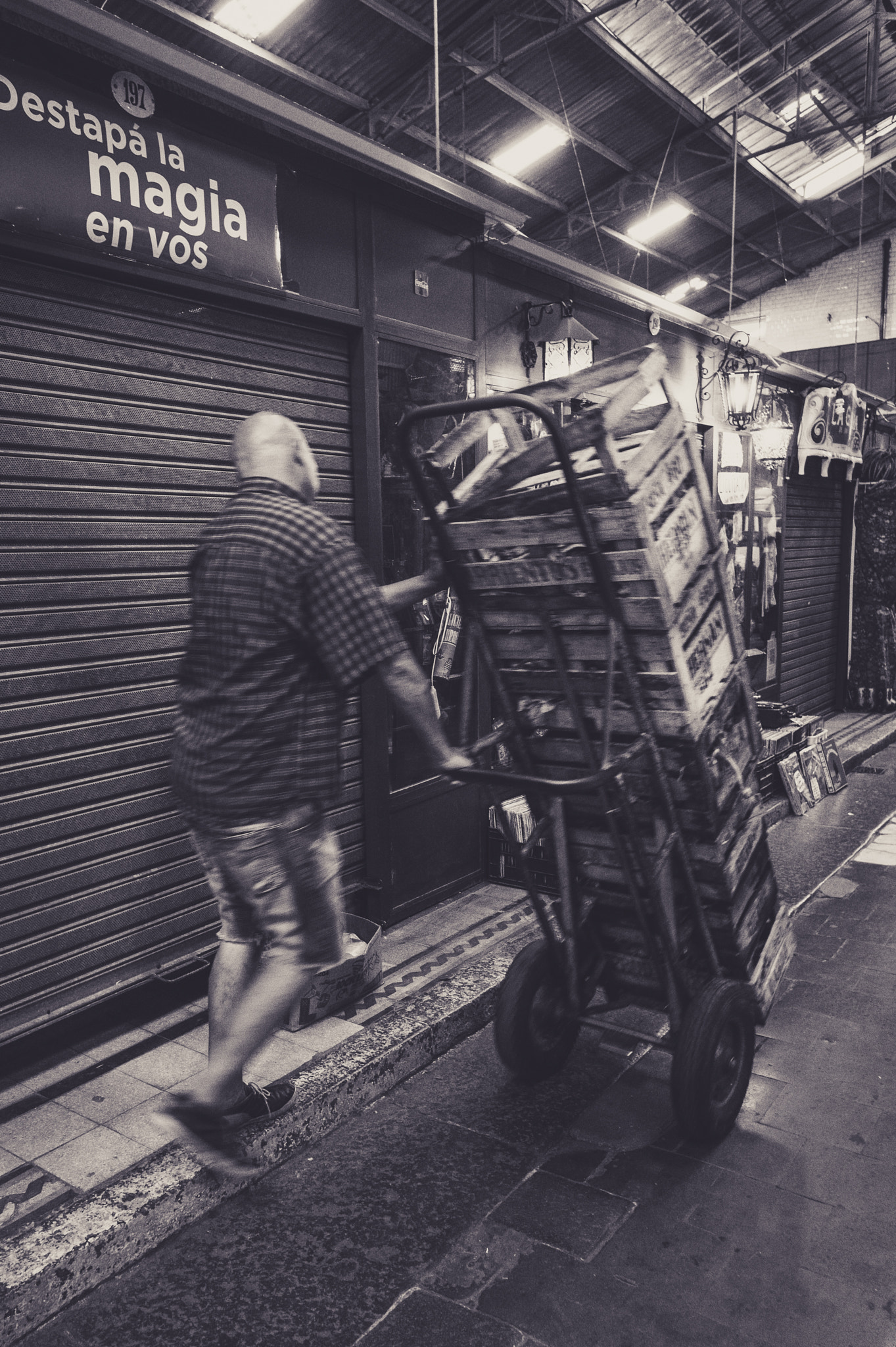 24-200mm F2.8 sample photo. El mercado xvlll - changarín photography