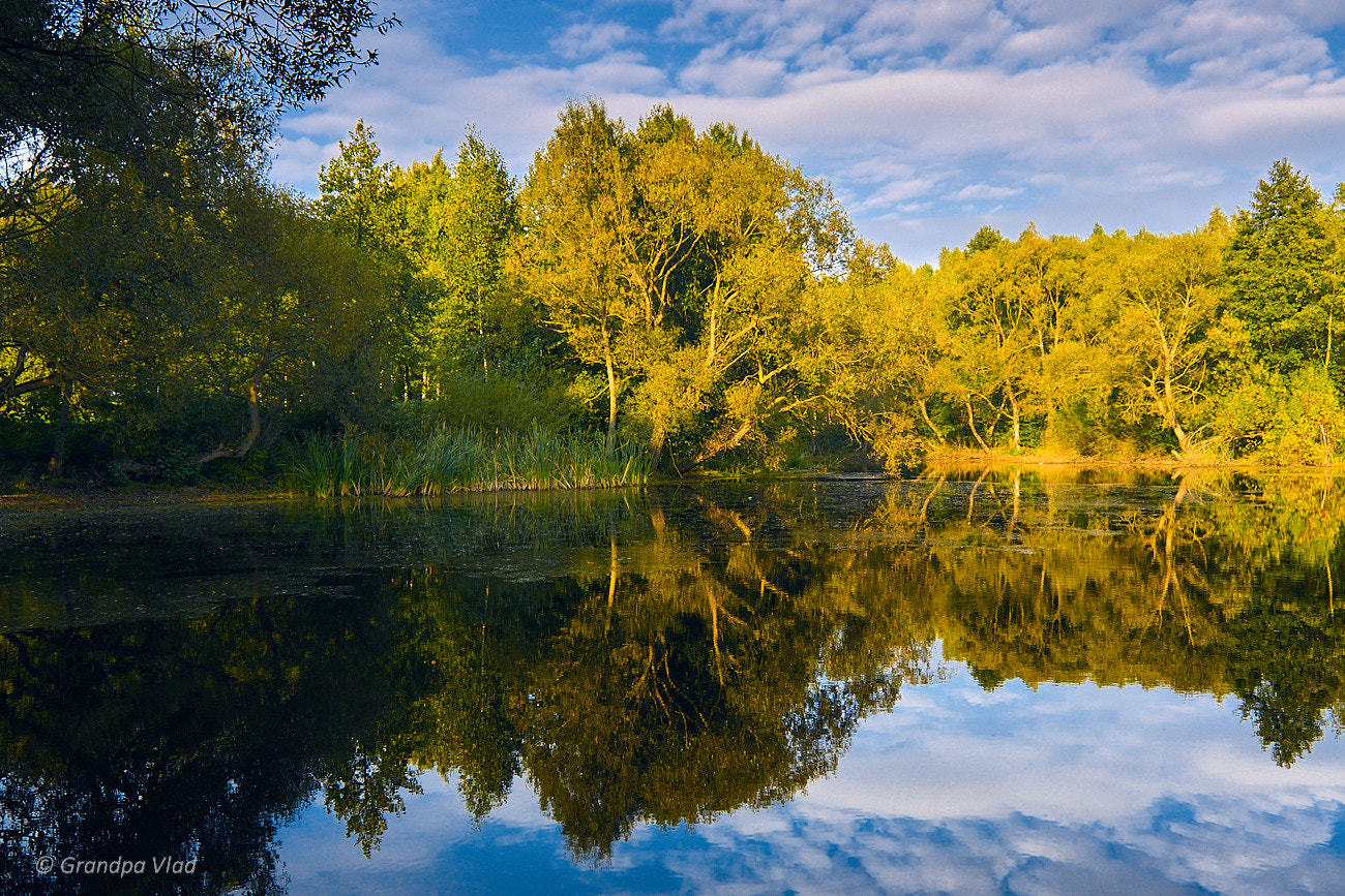 Canon EOS 1100D (EOS Rebel T3 / EOS Kiss X50) sample photo. Autumn pond... photography