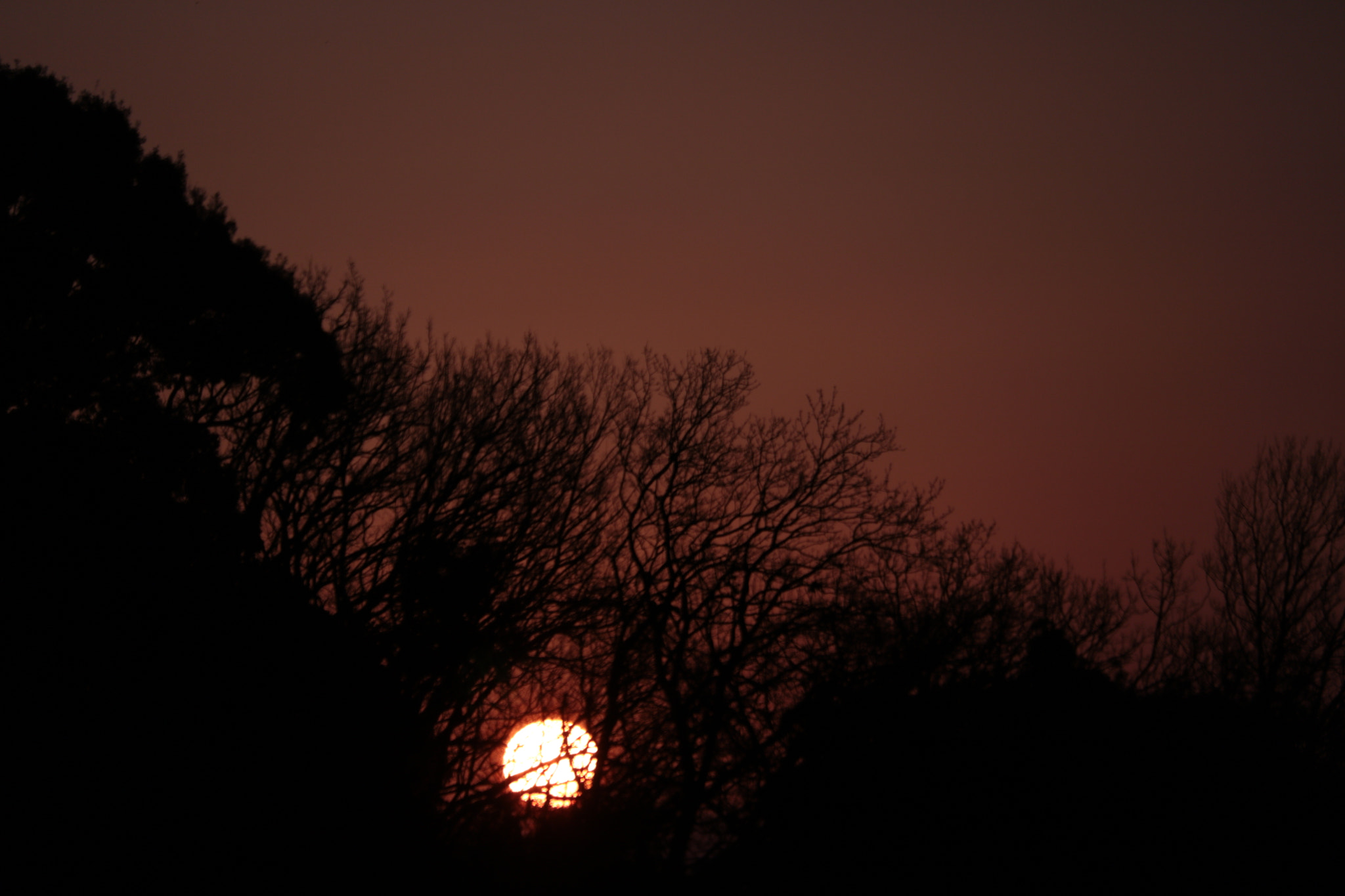 Canon EOS 750D (EOS Rebel T6i / EOS Kiss X8i) + Canon EF-S 55-250mm F4-5.6 IS STM sample photo. Sunrise photography