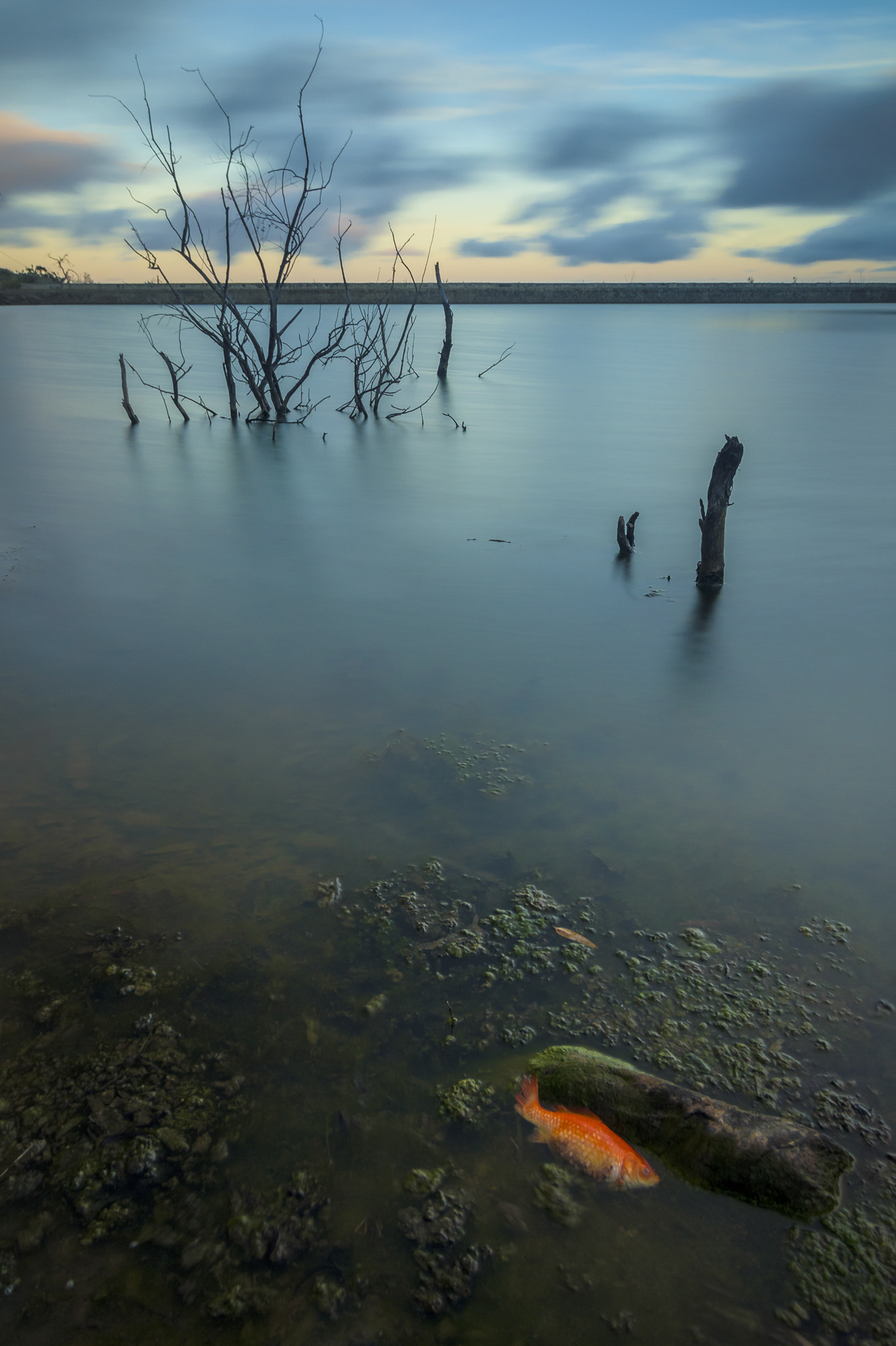 Tokina AT-X Pro 11-16mm F2.8 DX sample photo. Ahogados photography
