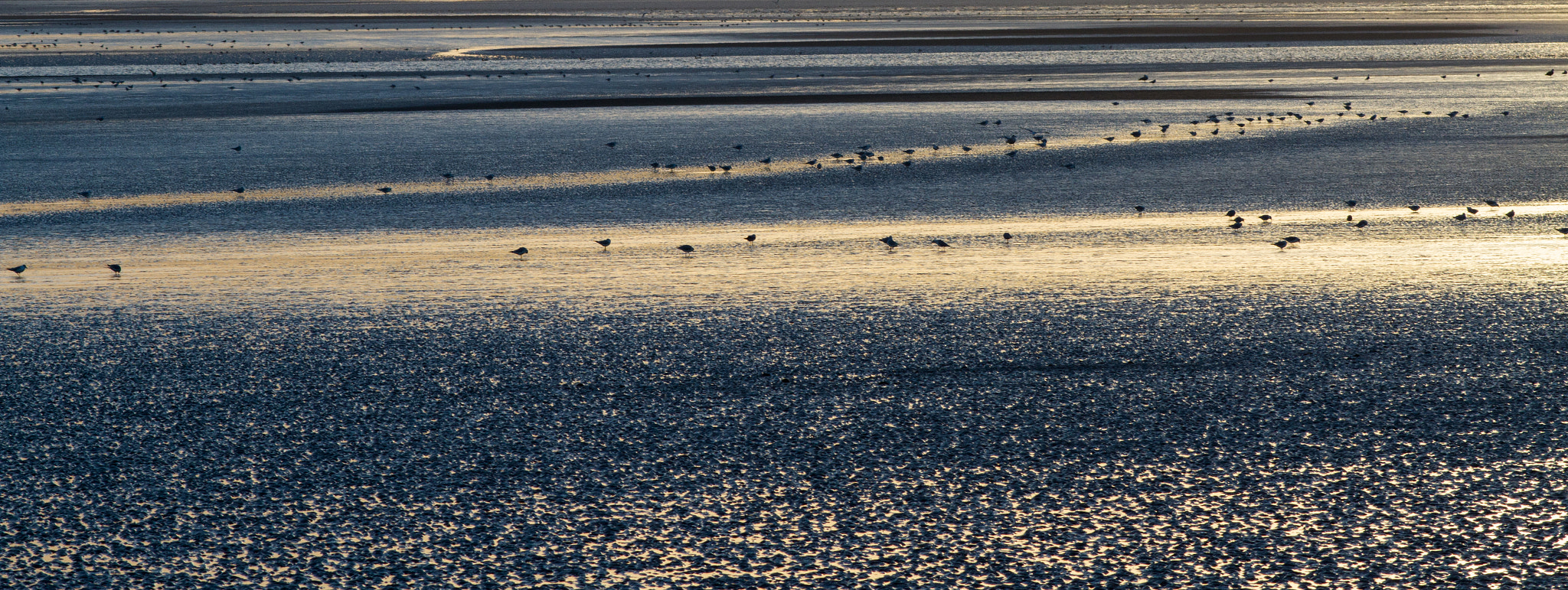 Canon EF 200mm F2.8L II USM sample photo. Sandymount 2 photography