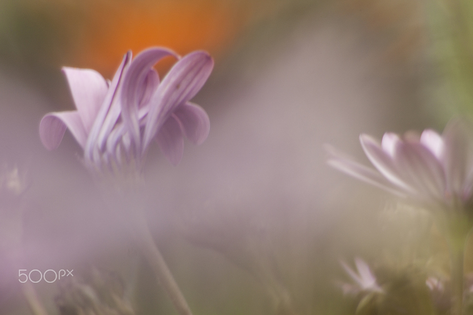 Canon EF 35-80mm f/4-5.6 sample photo. Rayos de luz photography