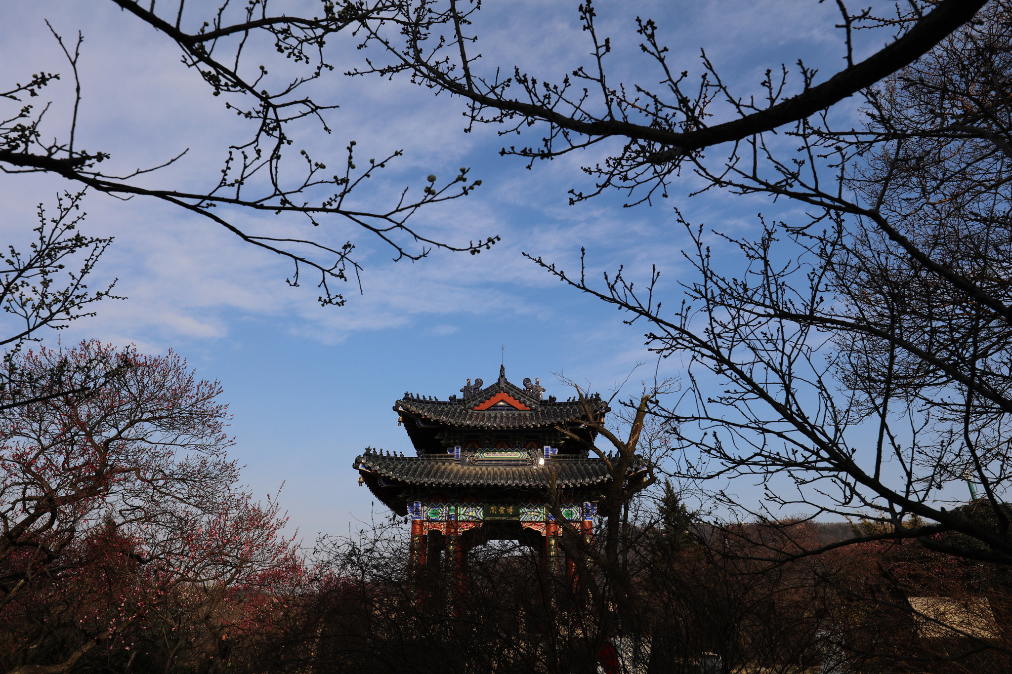 Canon EF 16-35mm F4L IS USM sample photo