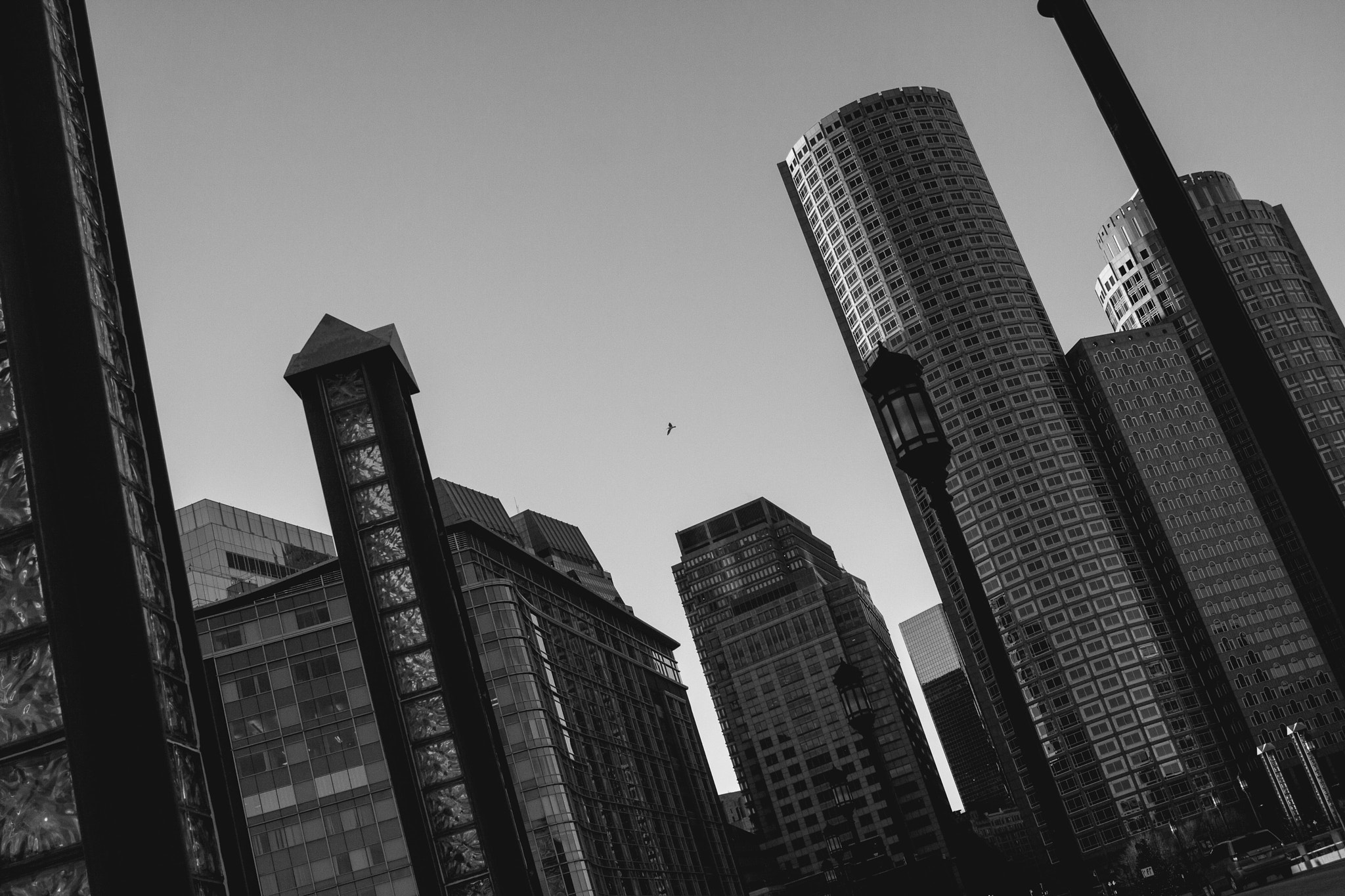 Canon EF-S 24mm F2.8 STM sample photo. Fly photography