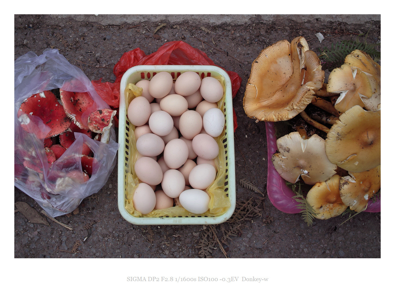 Sigma DP2 sample photo. Mushrooms and eggs in yunnan photography