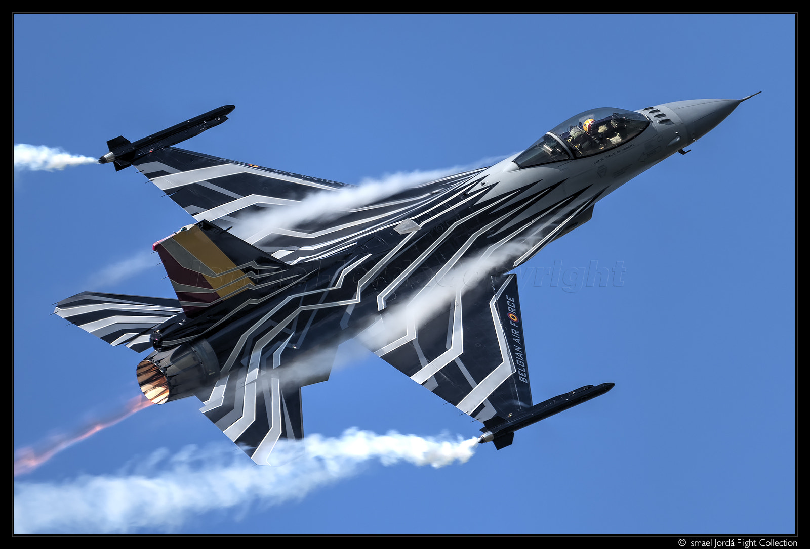 Nikon D810 + Nikon AF-S Nikkor 600mm F4G ED VR sample photo. F16 (2016) photography
