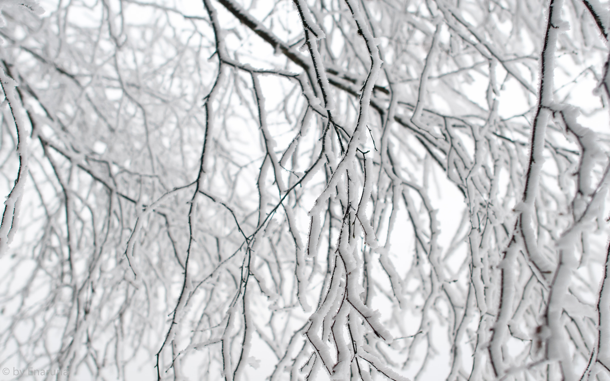 Nikon AF-S Nikkor 24mm F1.4G ED sample photo. Ice curtain photography