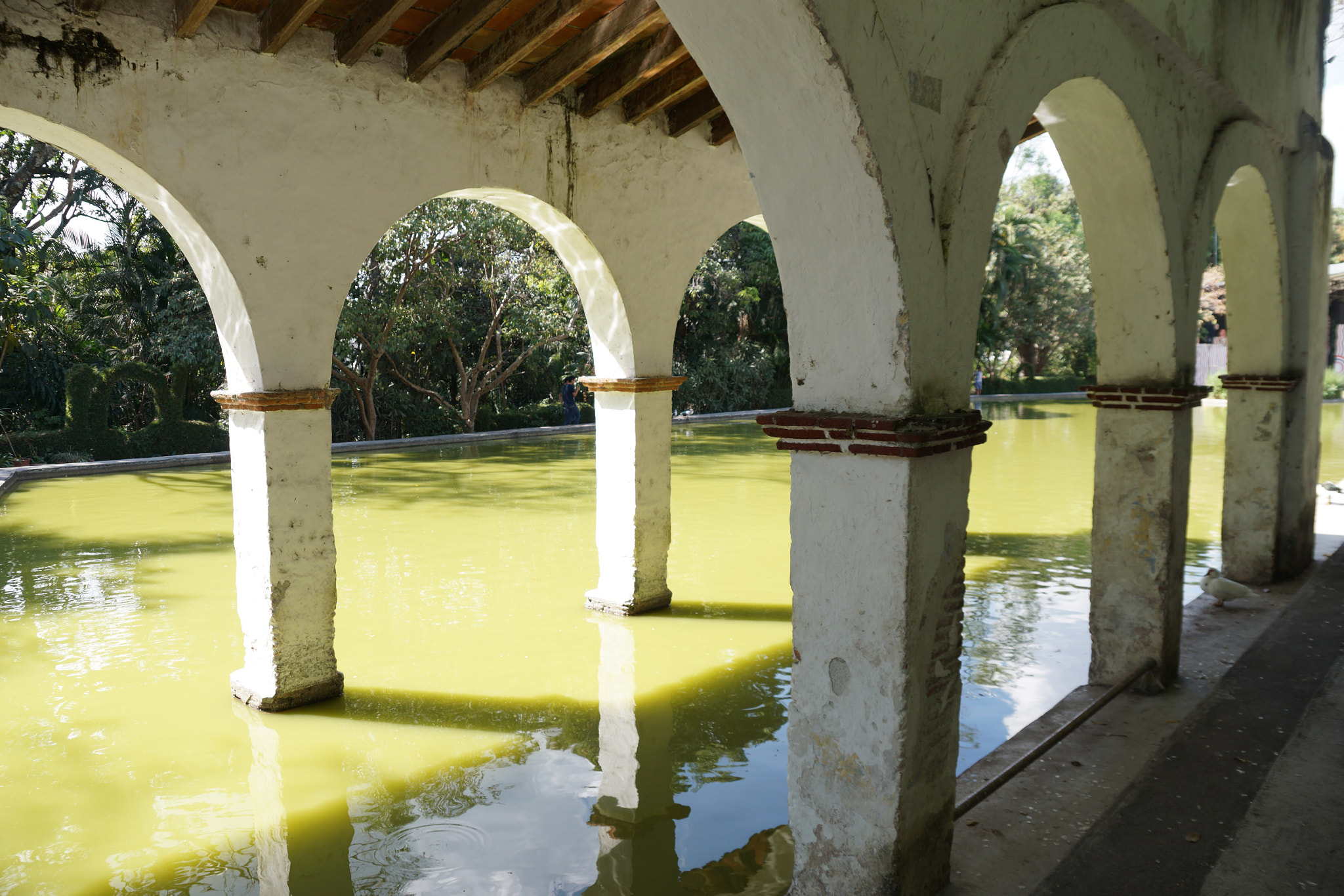 Sony DT 18-135mm F3.5-5.6 SAM sample photo. Jardín borda. photography