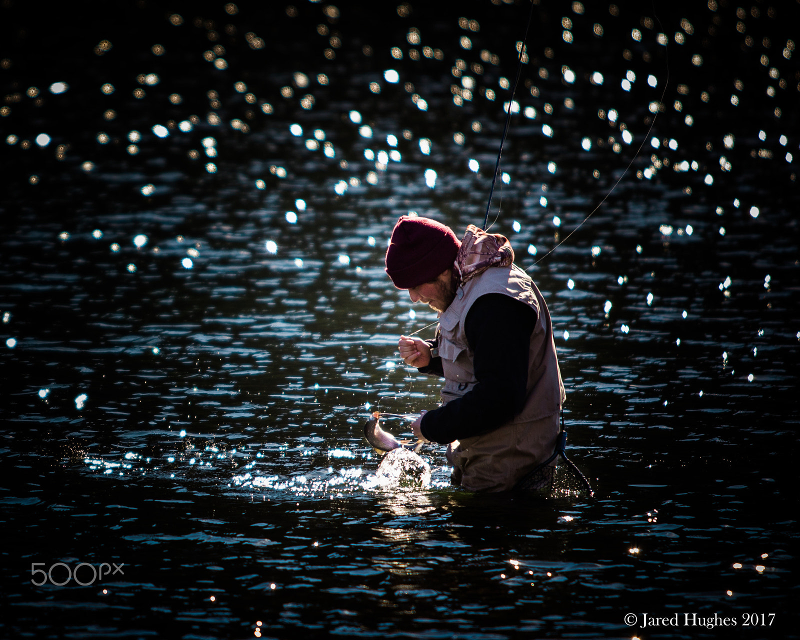 Canon EF 70-200mm F2.8L USM sample photo. Catch of the day photography