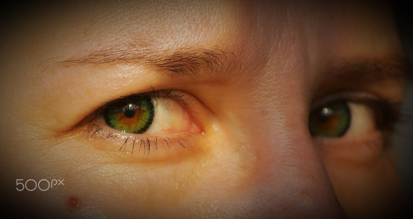 Sony DT 55-200mm F4-5.6 SAM sample photo. Multicolored eyes photography