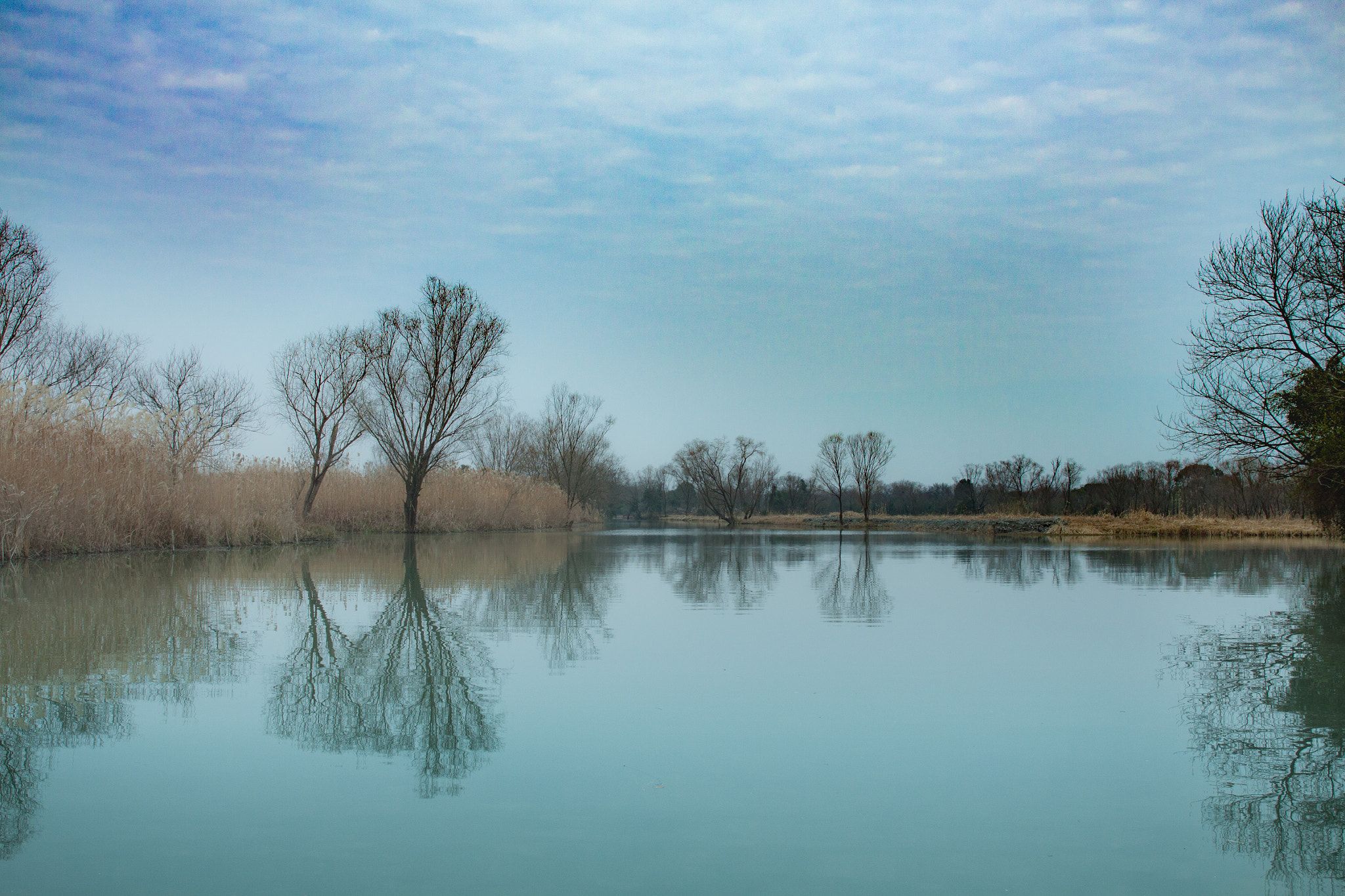 Canon EF 24-70mm F2.8L II USM sample photo. Xixi wetland park of hangzhou photography