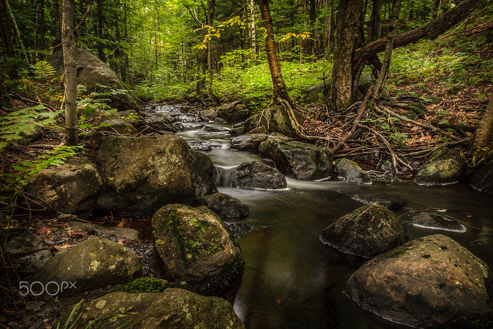 Canon EOS 30D sample photo. Mountain brook photography