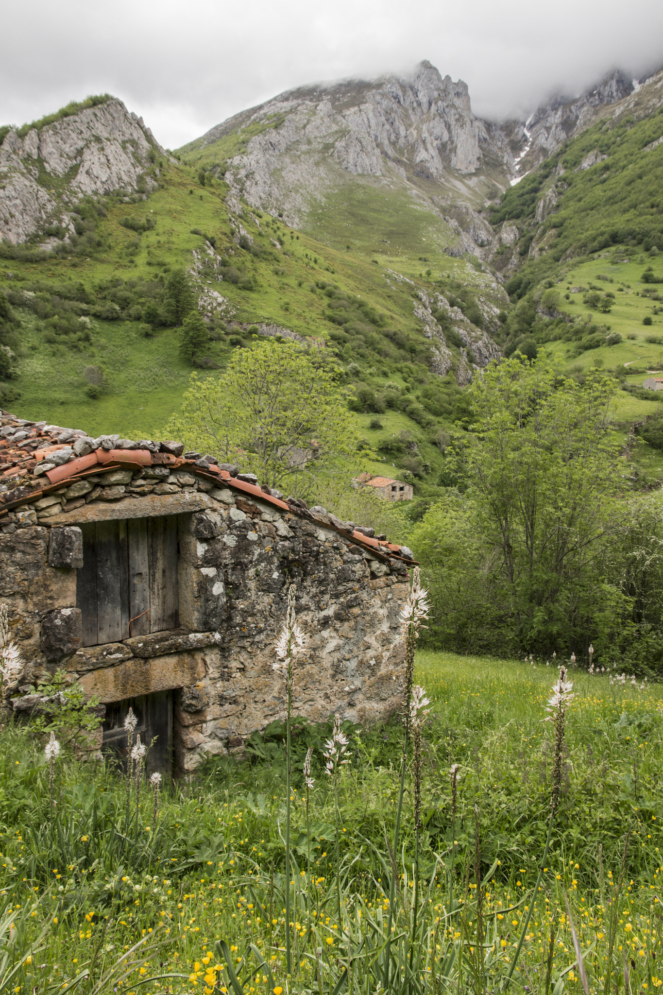 Canon EOS 650D (EOS Rebel T4i / EOS Kiss X6i) sample photo. Abandoned cottage photography