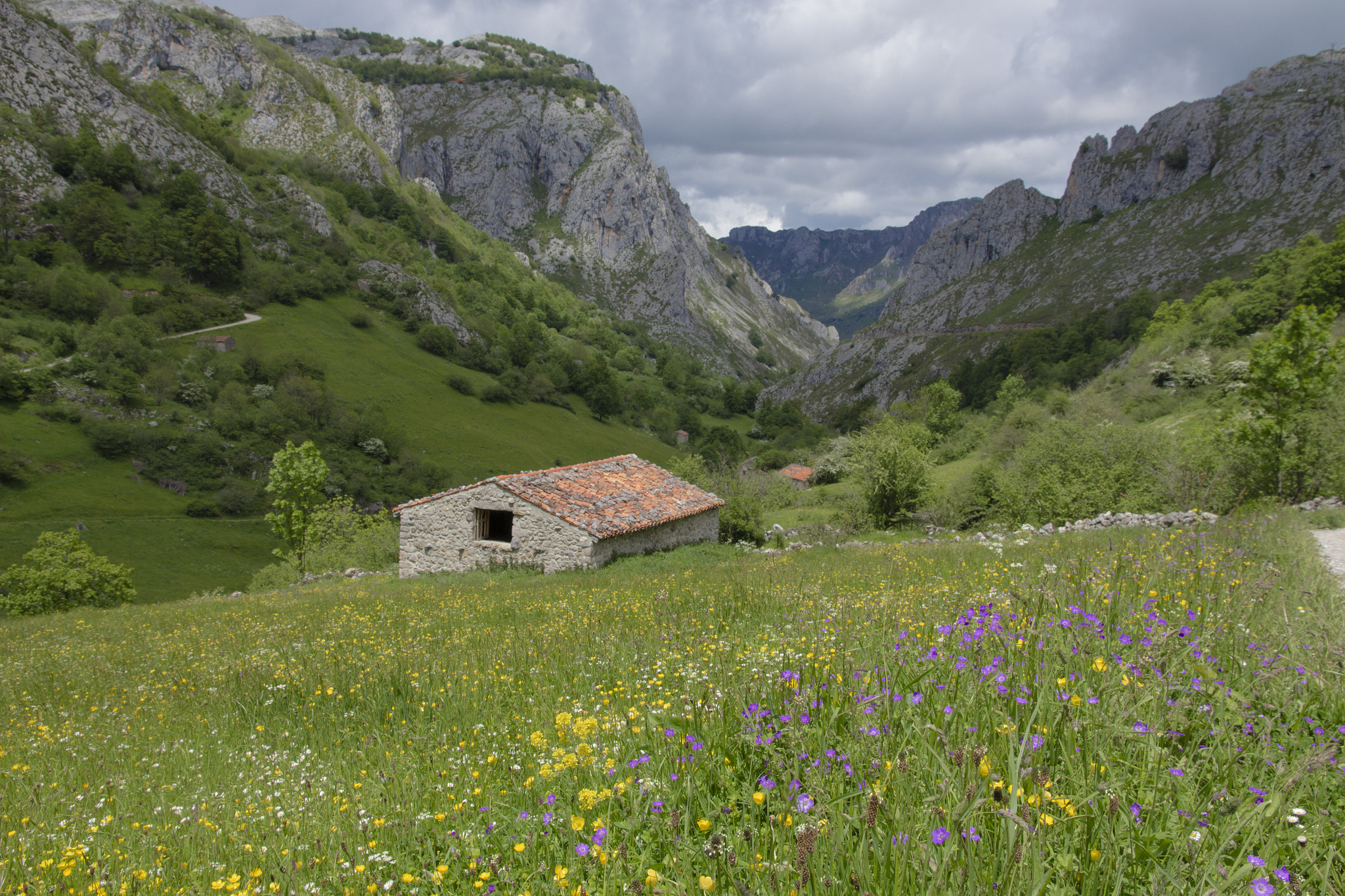 Canon EOS 650D (EOS Rebel T4i / EOS Kiss X6i) sample photo. Picos views photography