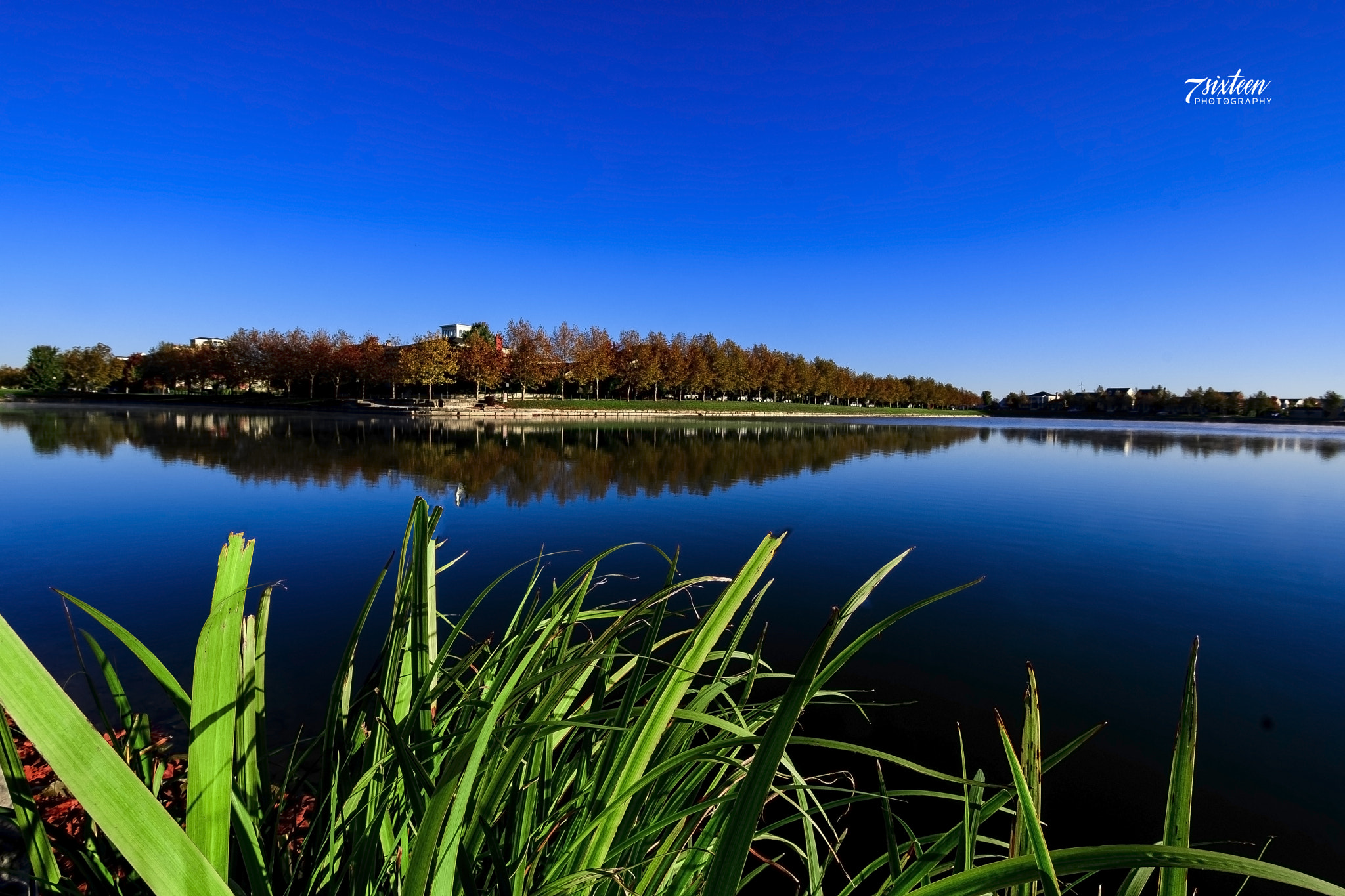Nikon D500 sample photo. Morning reflection photography