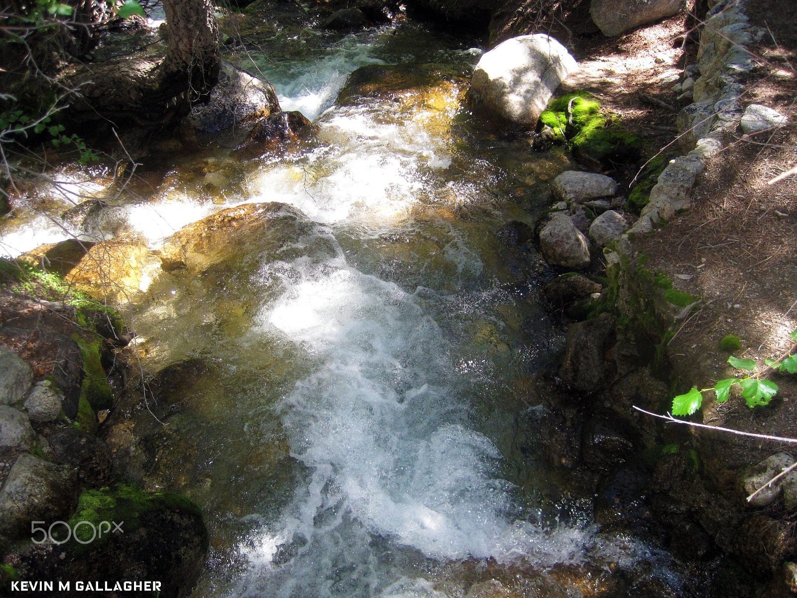 Canon PowerShot SD1200 IS (Digital IXUS 95 IS / IXY Digital 110 IS) sample photo. Lone pine creek o photography