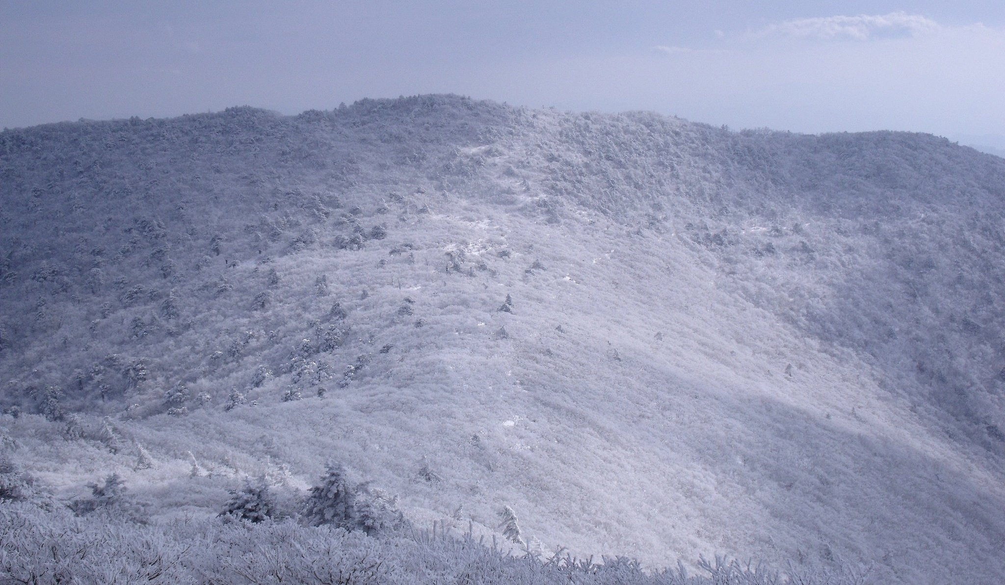 Fujifilm FinePix J110W sample photo. Frosted ridge photography