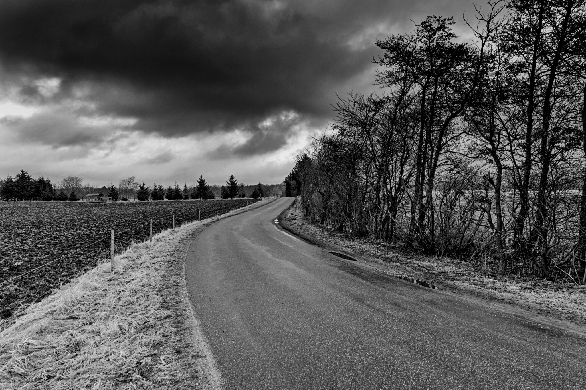 Nikon AF-S Nikkor 14-24mm F2.8G ED sample photo. Hestbækvej photography
