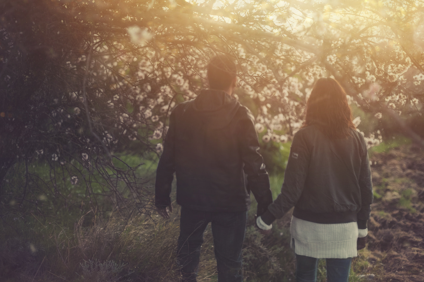 Sony a7 II + Sony DT 50mm F1.8 SAM sample photo. Lovers way photography