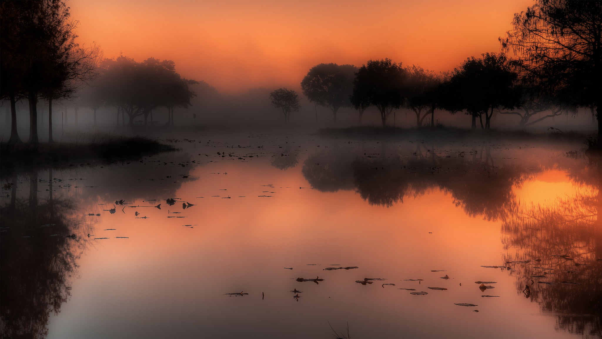 Nikon D810 sample photo. A foggy winter sunrise photography