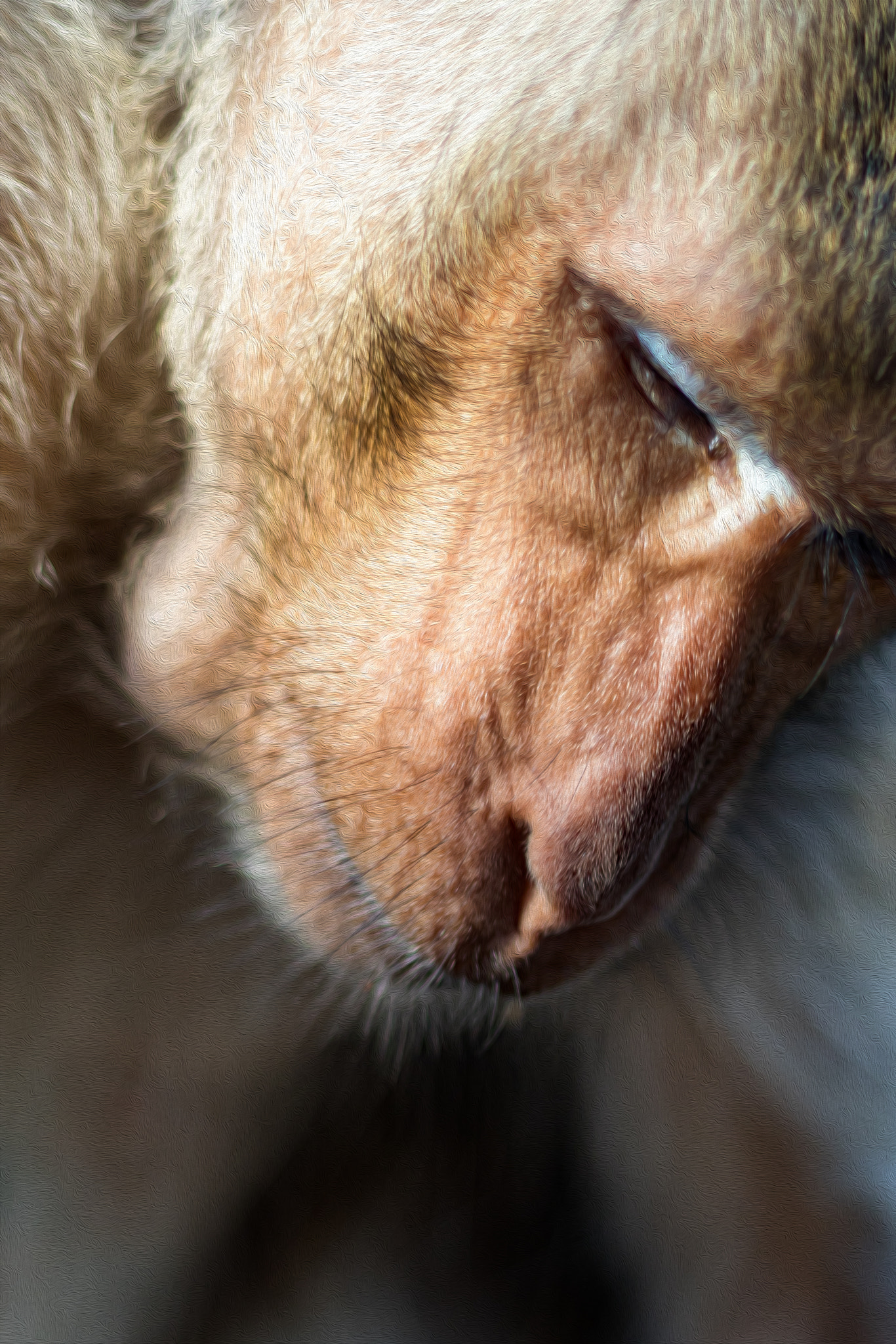 Canon EF 50mm F1.8 II sample photo. A wild living monkey at thailand. photography