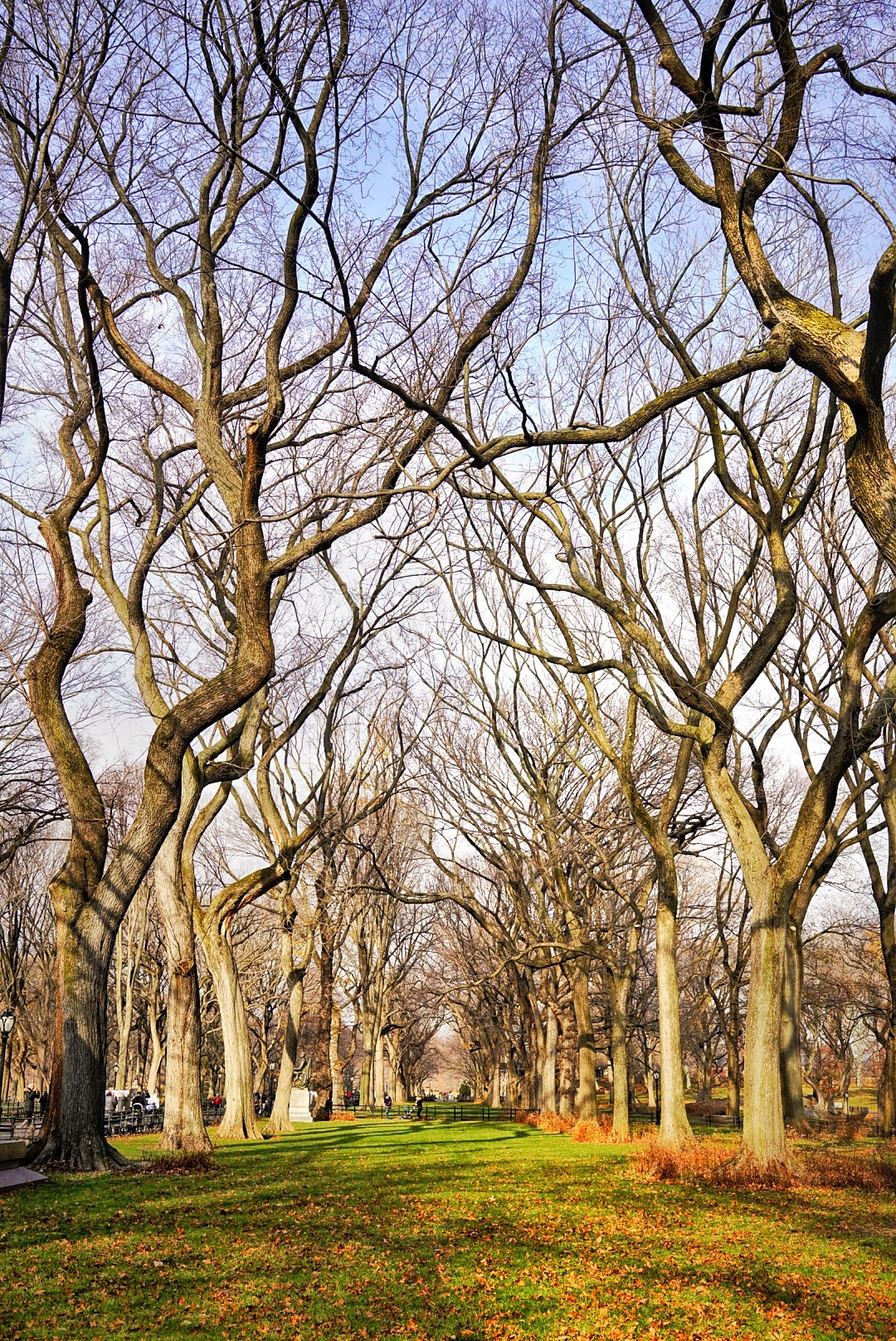Sony a7R II + Sony Sonnar T* FE 35mm F2.8 ZA sample photo