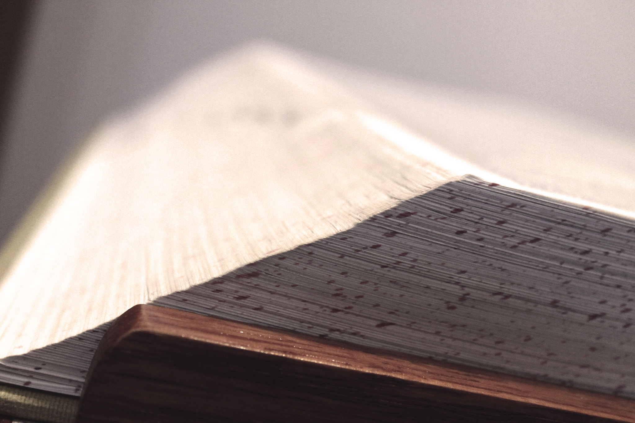 Canon EOS 1100D (EOS Rebel T3 / EOS Kiss X50) sample photo. Short depth of field photography with a book// photography
