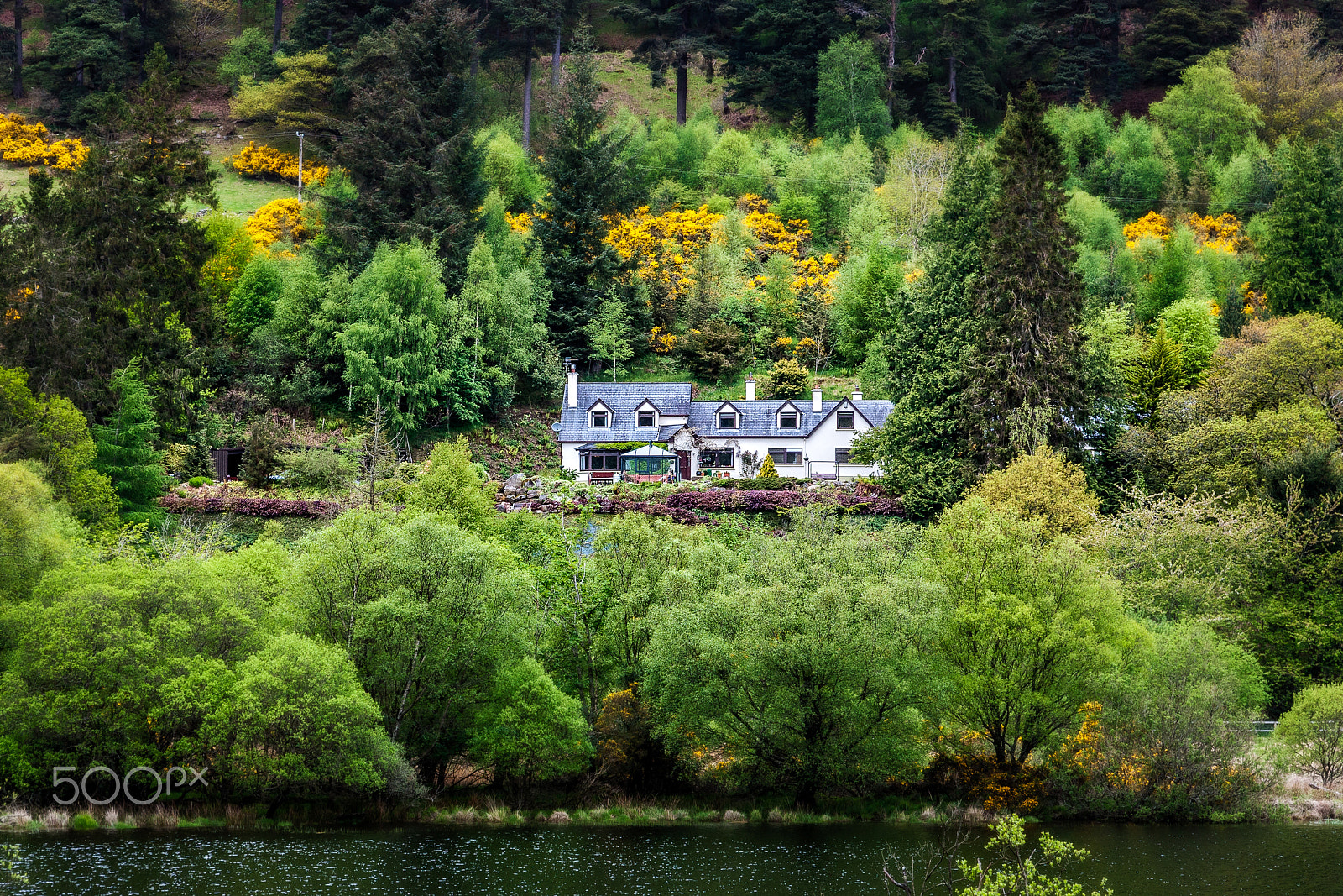 Canon EOS 450D (EOS Rebel XSi / EOS Kiss X2) sample photo. Irish country home in county wicklow photography