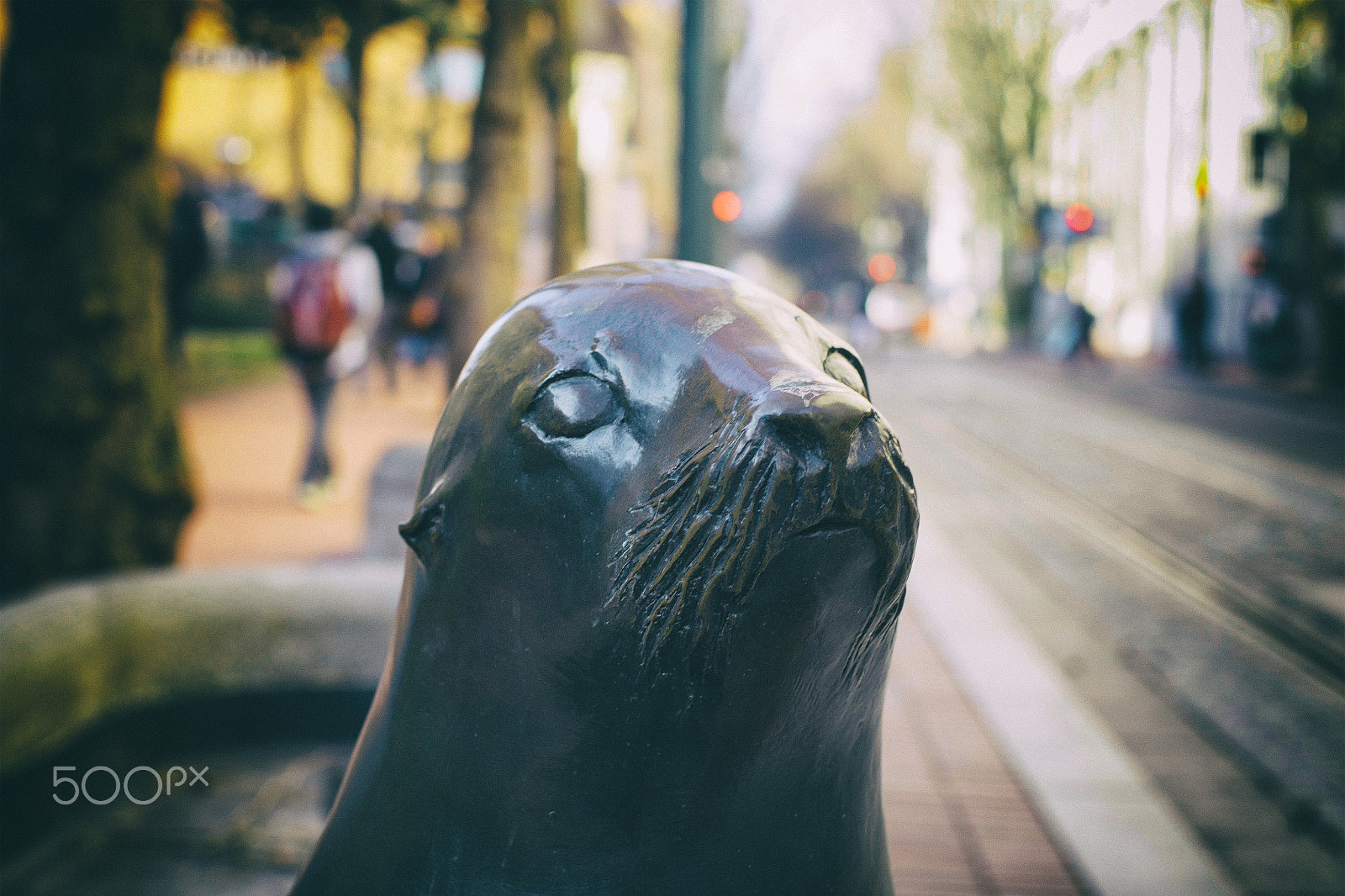 Canon EF 40mm F2.8 STM sample photo. Seal photography
