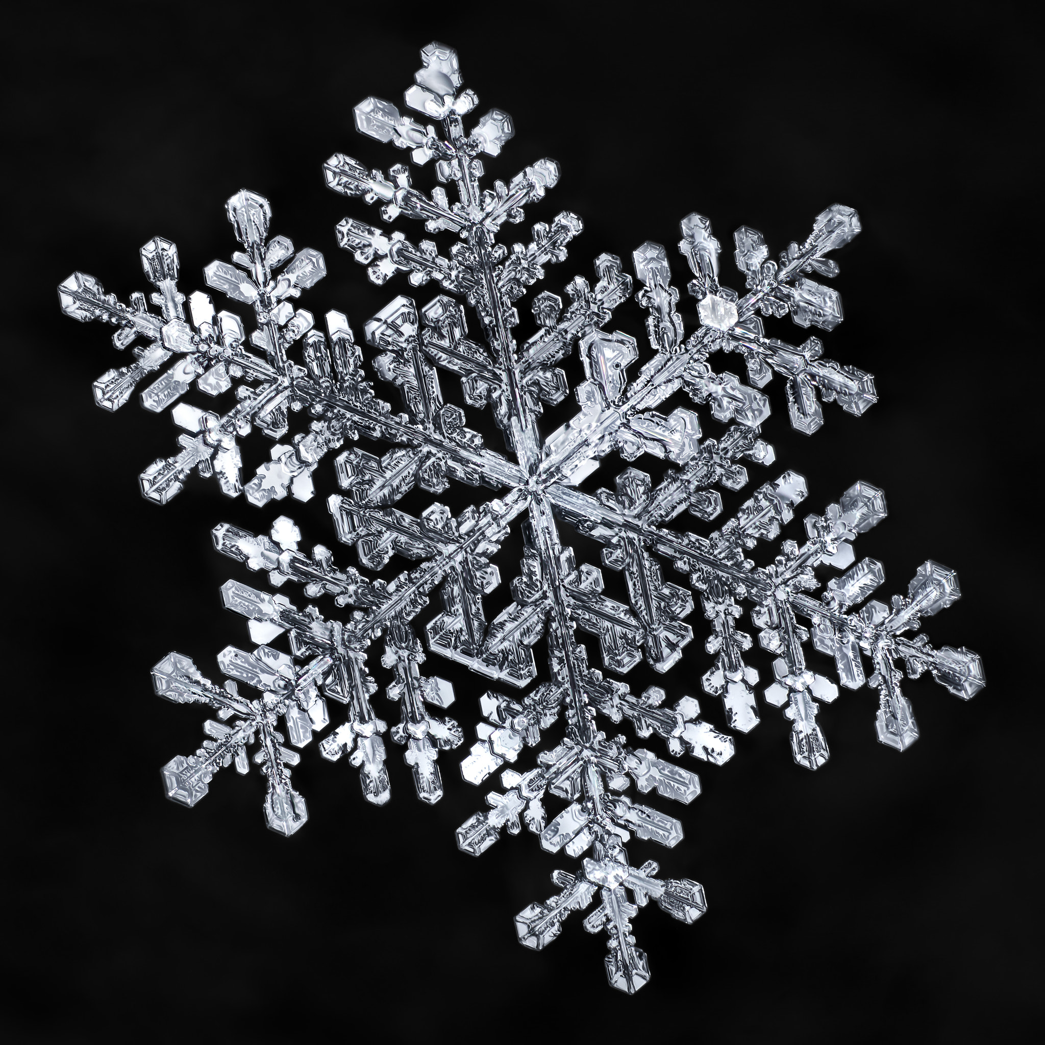 Canon MP-E 65mm F2.5 1-5x Macro Photo sample photo. Snowflake-a-day #45 photography