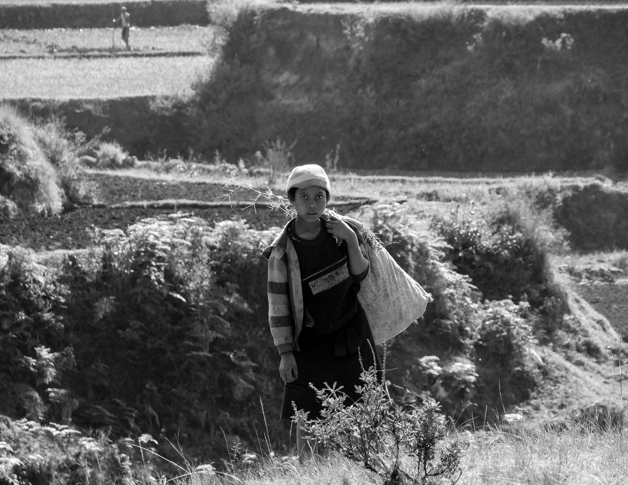 Panasonic Lumix DMC-GX7 sample photo. Working in the fields, madagascar photography