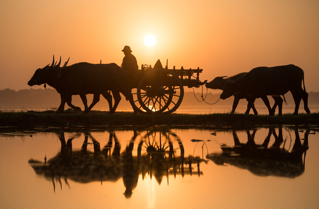 Back Home by Sarawut Intarob on 500px.com