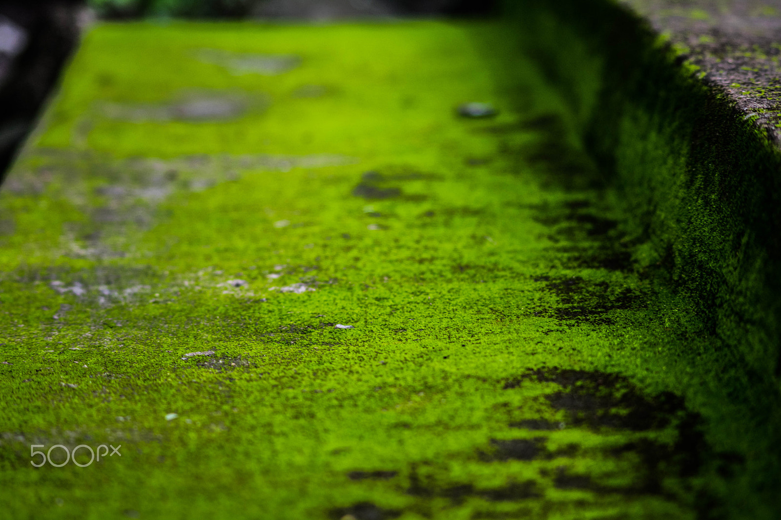 Canon EOS 750D (EOS Rebel T6i / EOS Kiss X8i) sample photo. Green steps. photography