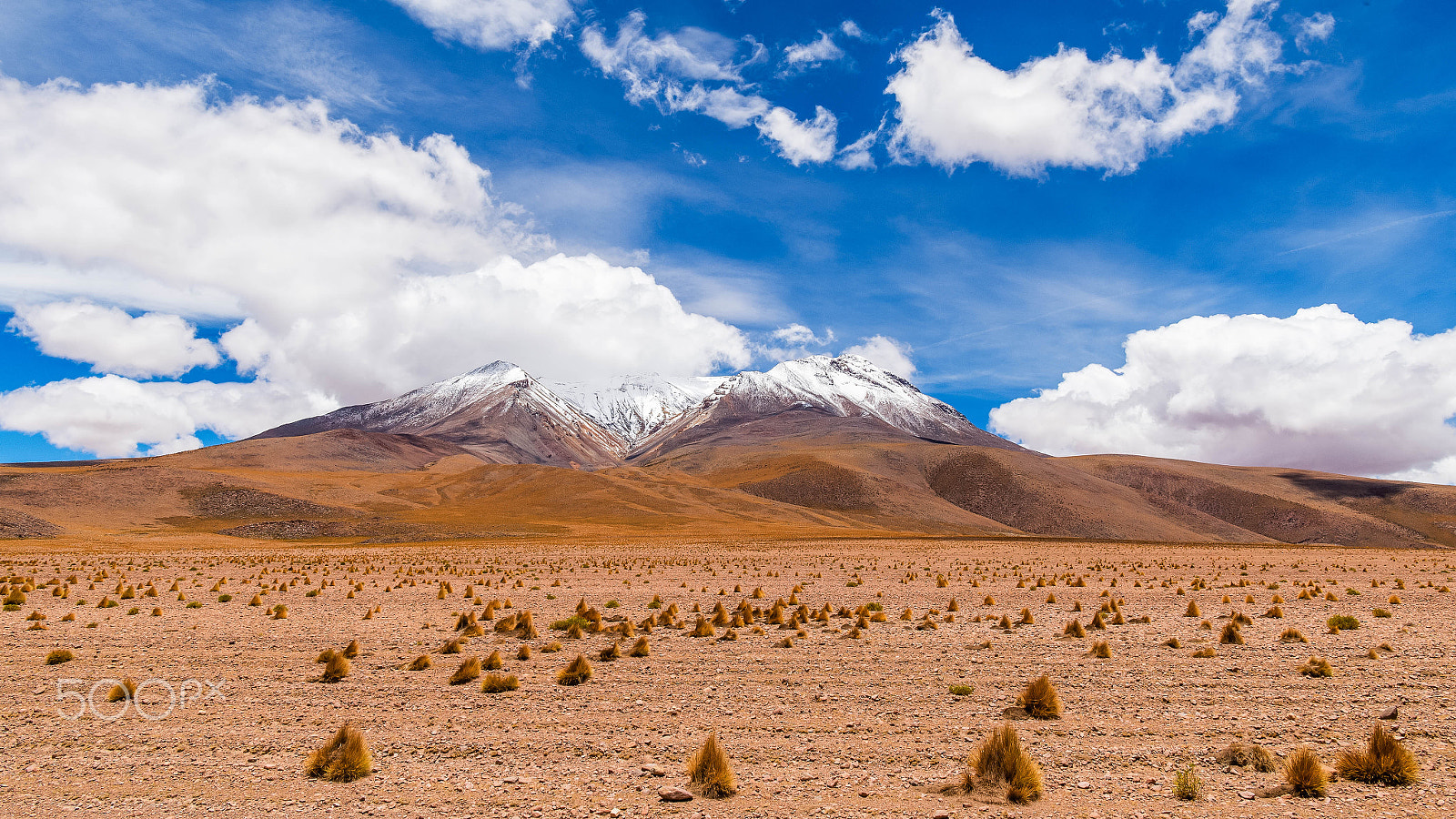 Nikon D4S + Nikon AF-S Nikkor 24-70mm F2.8E ED VR sample photo. Bolivian highland landscape photography