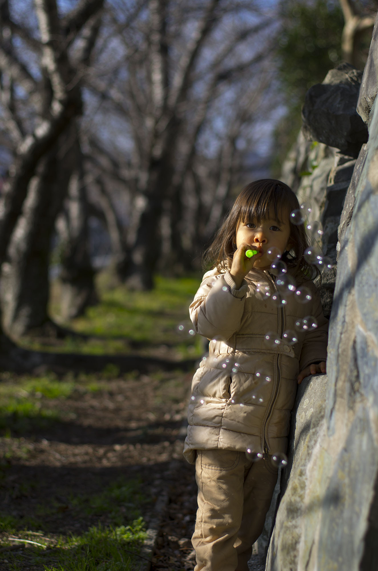 Pentax K-5 + Pentax smc FA 50mm F1.4 sample photo. Igp photography