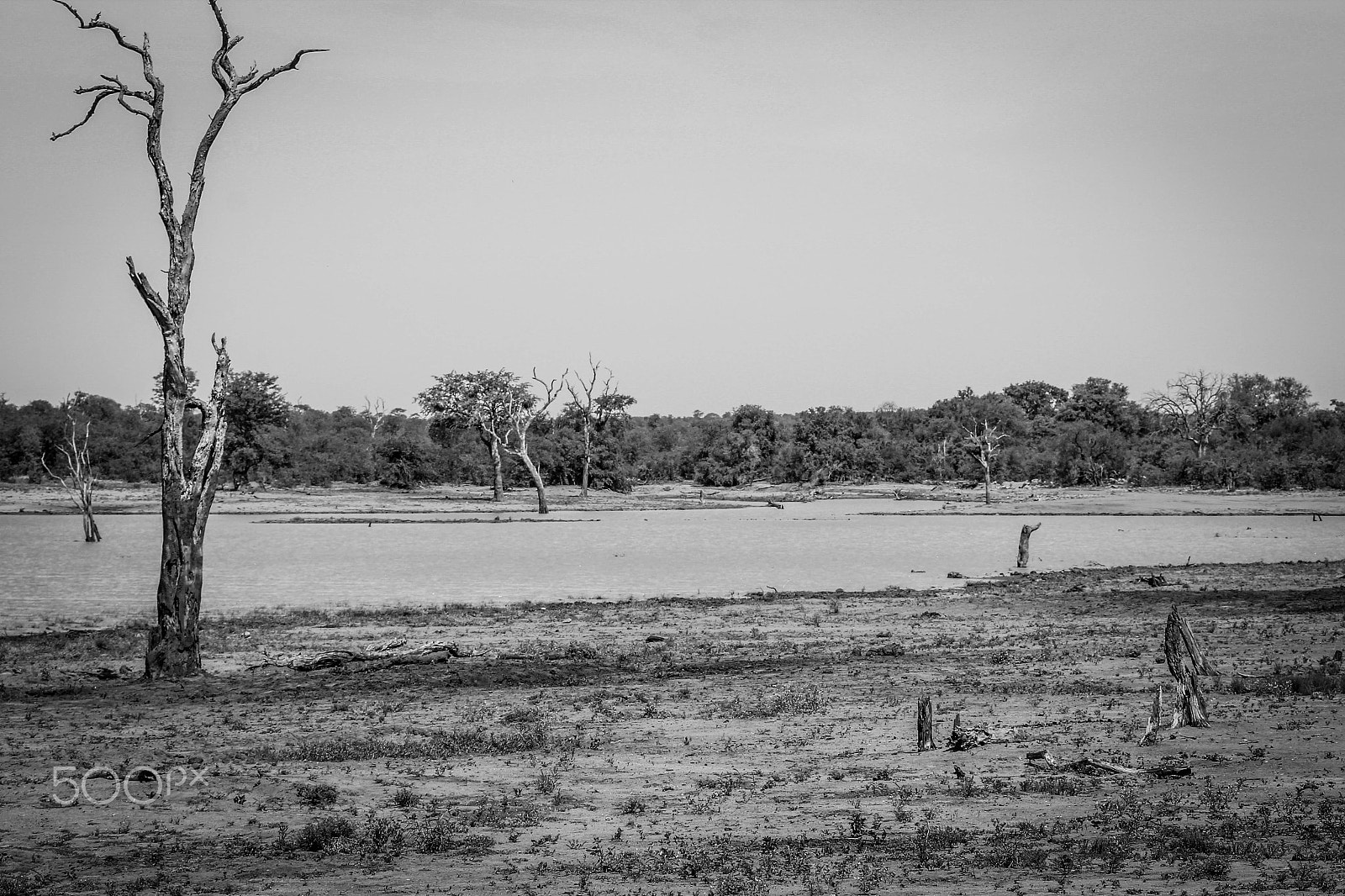 Canon EOS 1200D (EOS Rebel T5 / EOS Kiss X70 / EOS Hi) sample photo. The water hole. photography