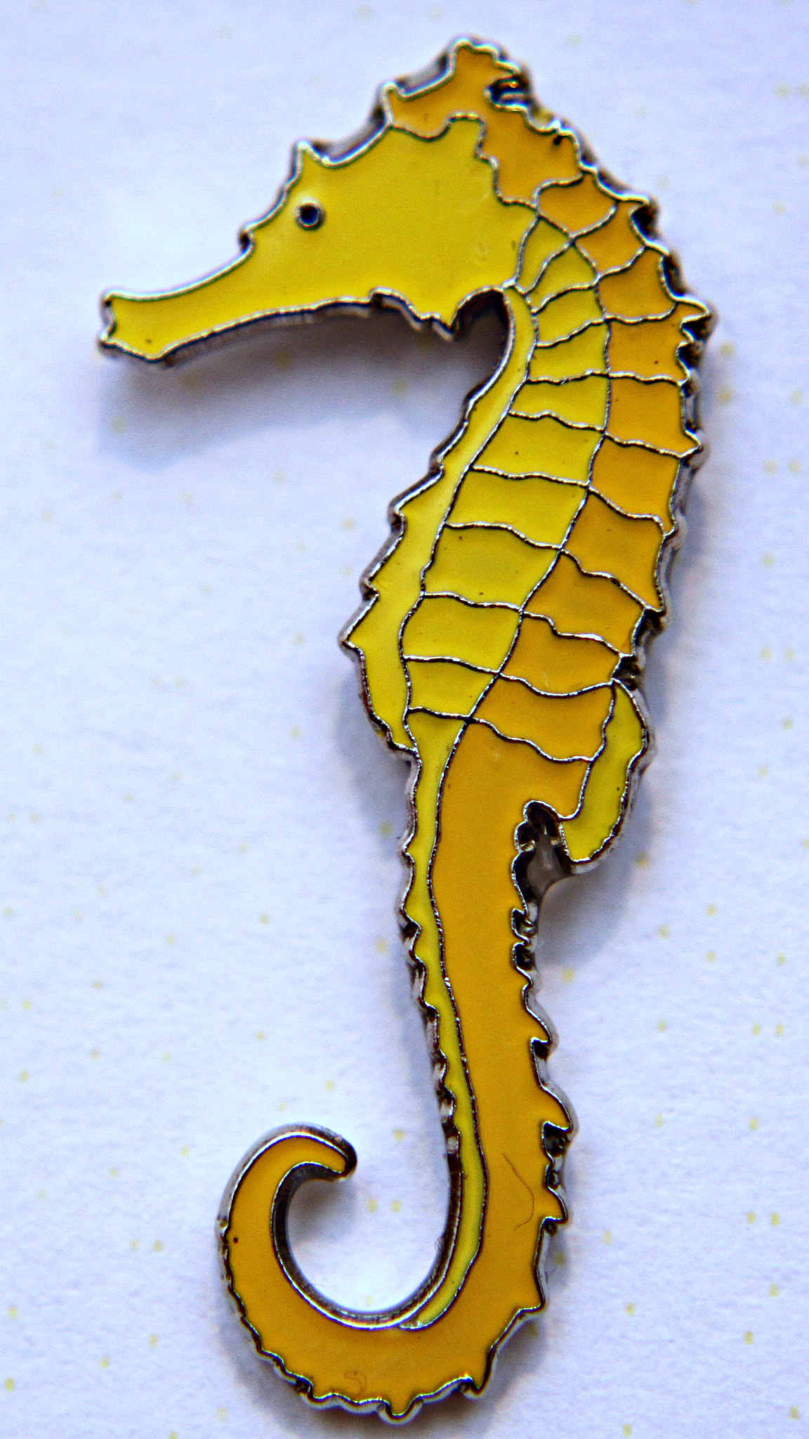 Canon EF 28-80mm f/3.5-5.6 USM sample photo. Sea horse photography