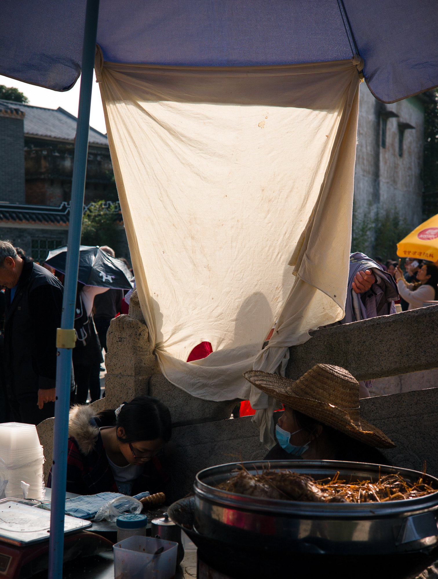 Leica Summarit-M 50mm F2.5 sample photo