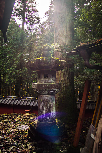 Nikon D3200 + Sigma 18-50mm F2.8 EX DC Macro sample photos