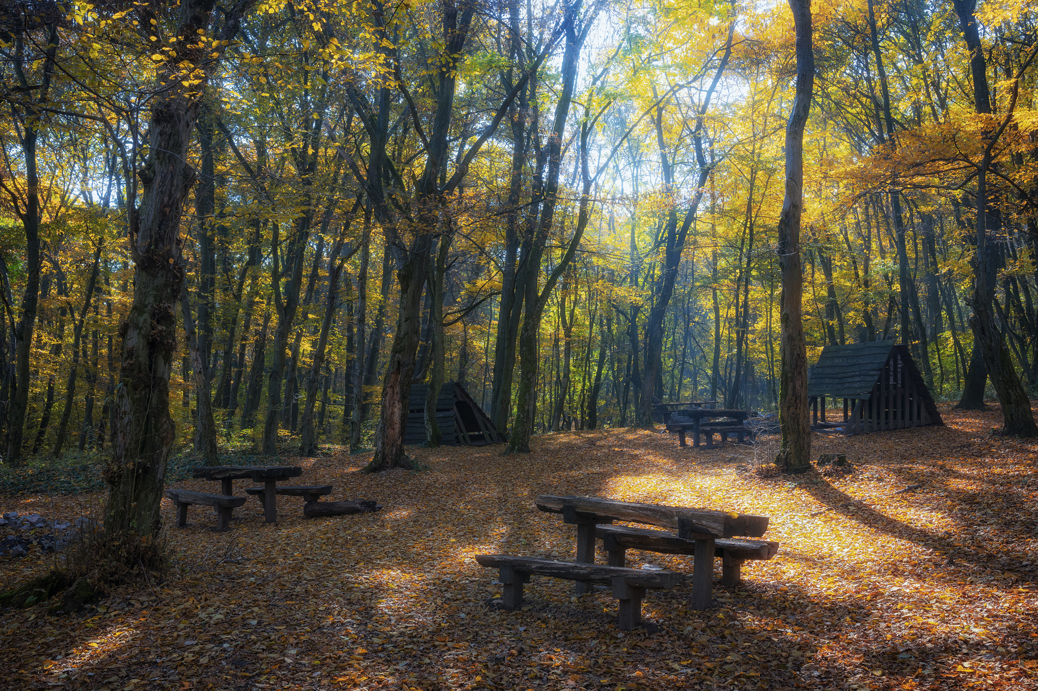 Nikon D5300 + Sigma 18-35mm F1.8 DC HSM Art sample photo. Campground photography