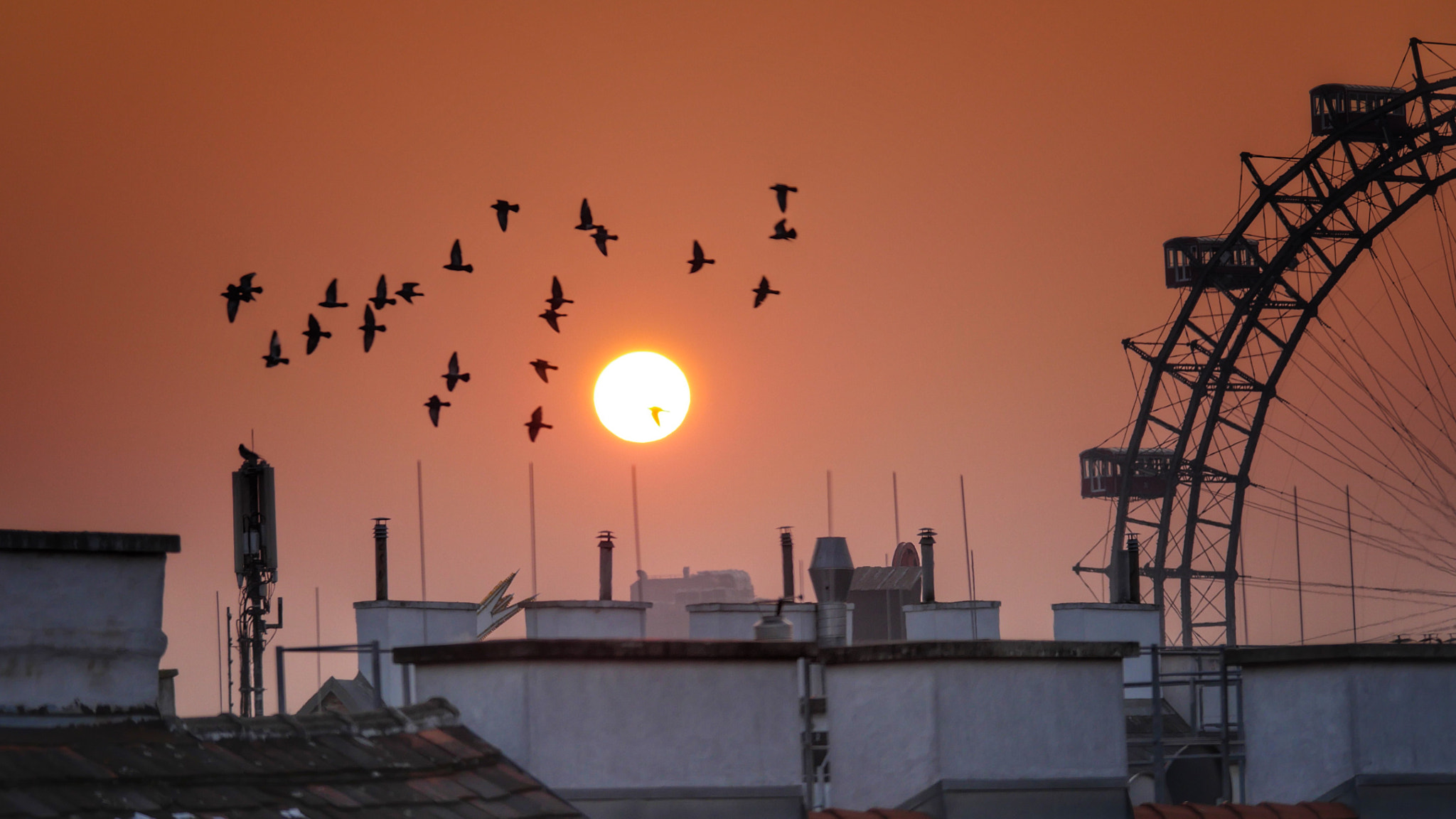 Panasonic Lumix DMC-GH4 sample photo. Even in winter..... photography