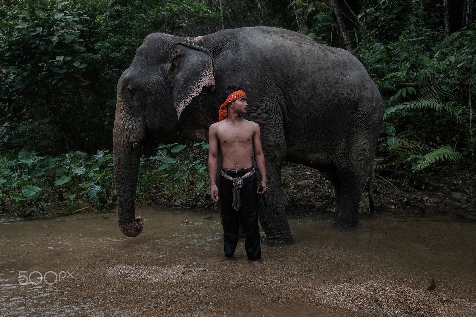 Fujifilm X-T2 + Fujifilm XF 14mm F2.8 R sample photo. Young mahout #2 photography