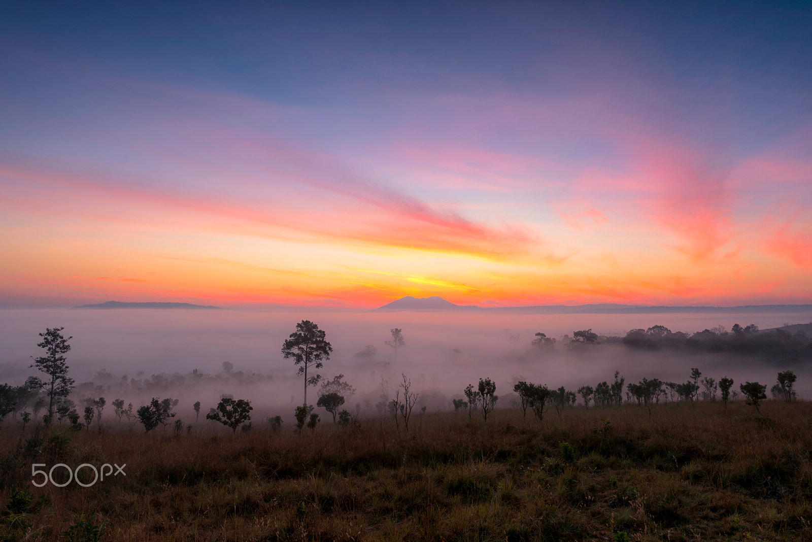 Nikon D800 + Nikon AF-S Nikkor 20mm F1.8G ED sample photo. Thung salaeng luang national park at sunrise photography