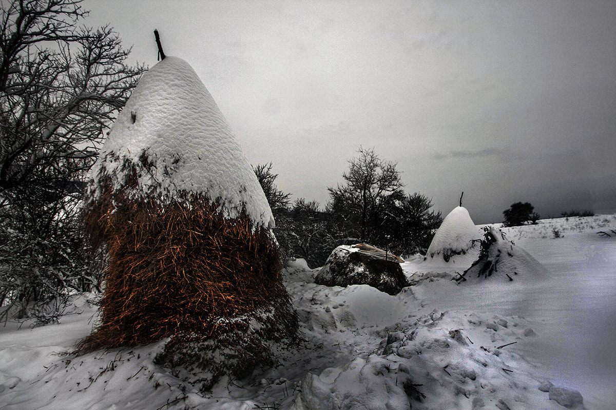 Sigma 10-20mm F3.5 EX DC HSM sample photo. Still winter photography