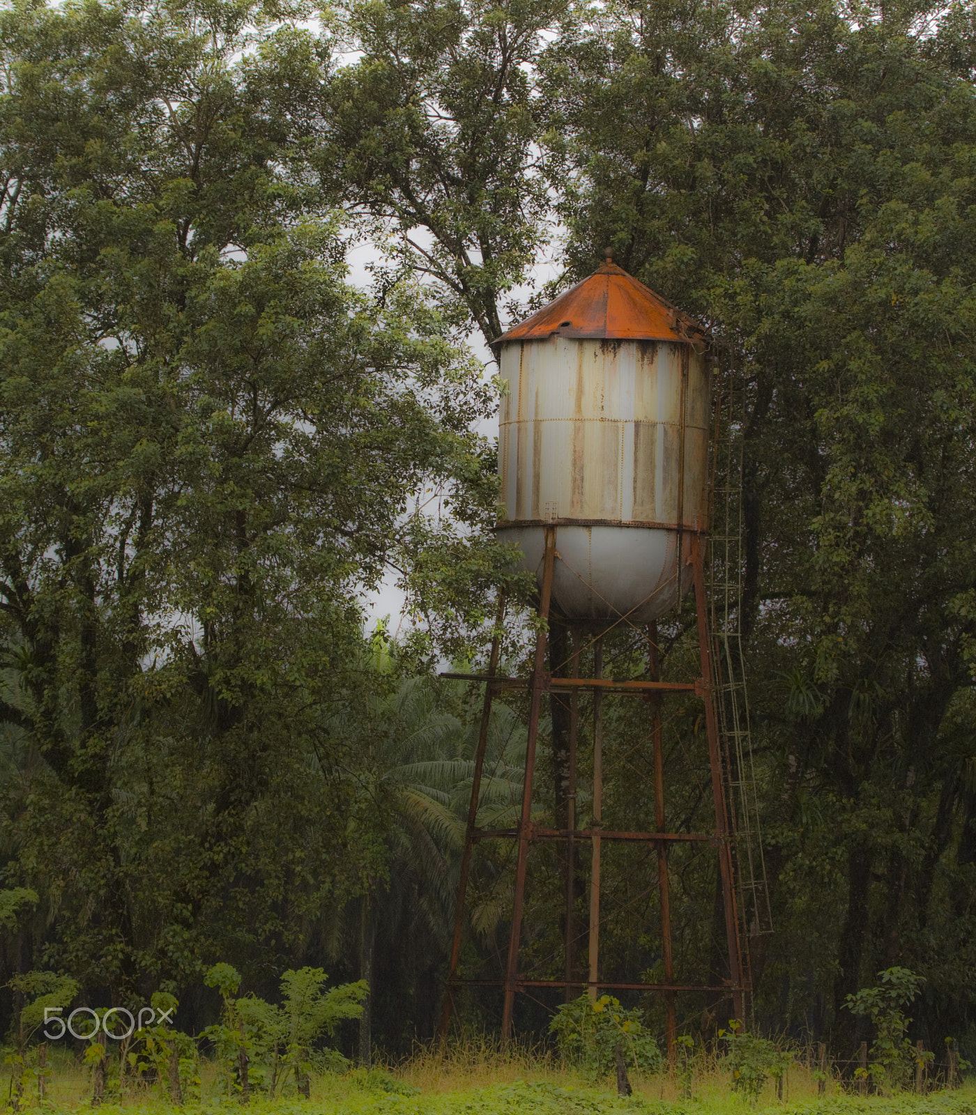 Canon EF 100-400mm F4.5-5.6L IS USM sample photo. Rusty but standing photography